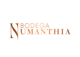 Logotipo Numanthia — vinos distribuidos por Marcha S.A. en Canarias